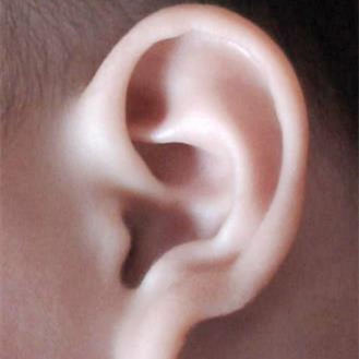 男人耳朵小一定没福吗，男人耳朵特别小是不是没有福气