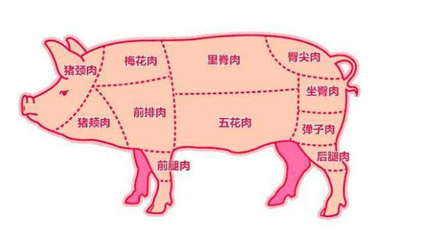 猪身上最贵的一块肉是在哪个部位，猪的哪个部位最便宜