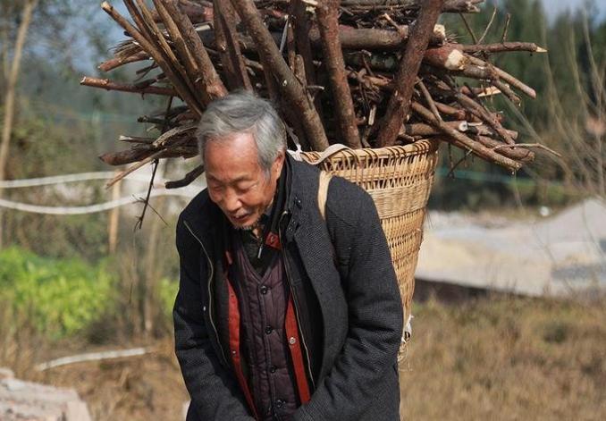 没老伴晚年怎么过才幸福，没有老伴如何度晚年