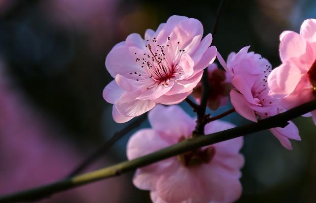 再婚家庭的三大死穴，再婚家庭最大的三个问题