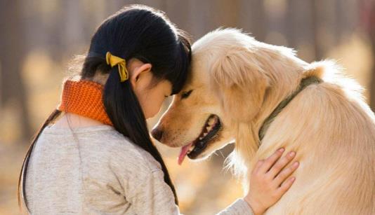 狗为什么和人类亲近，狗和人发生的感人故事