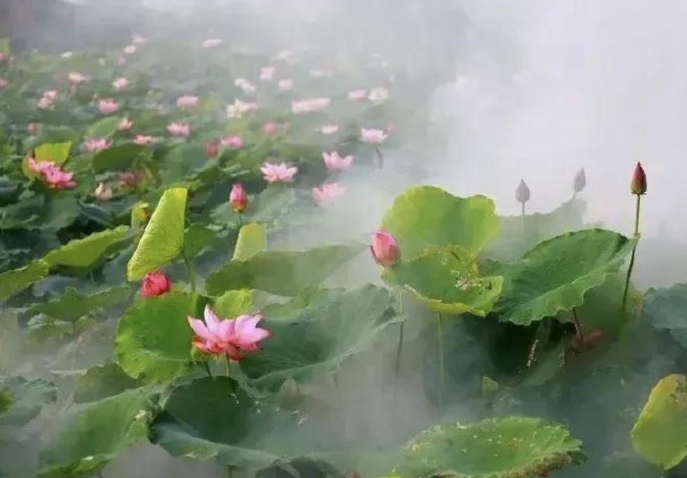 老年异性朋友聊天忌讳，老年人异性朋友聊天应注意什么