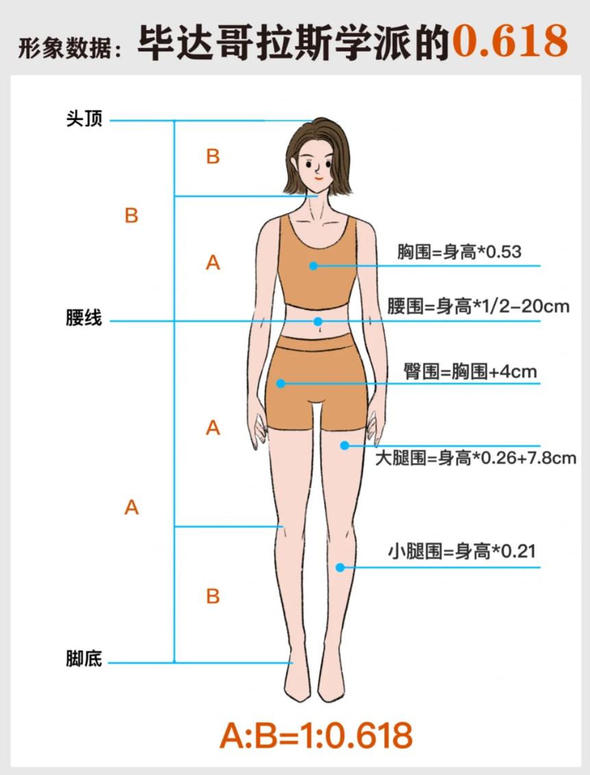 女性最佳上下身比例