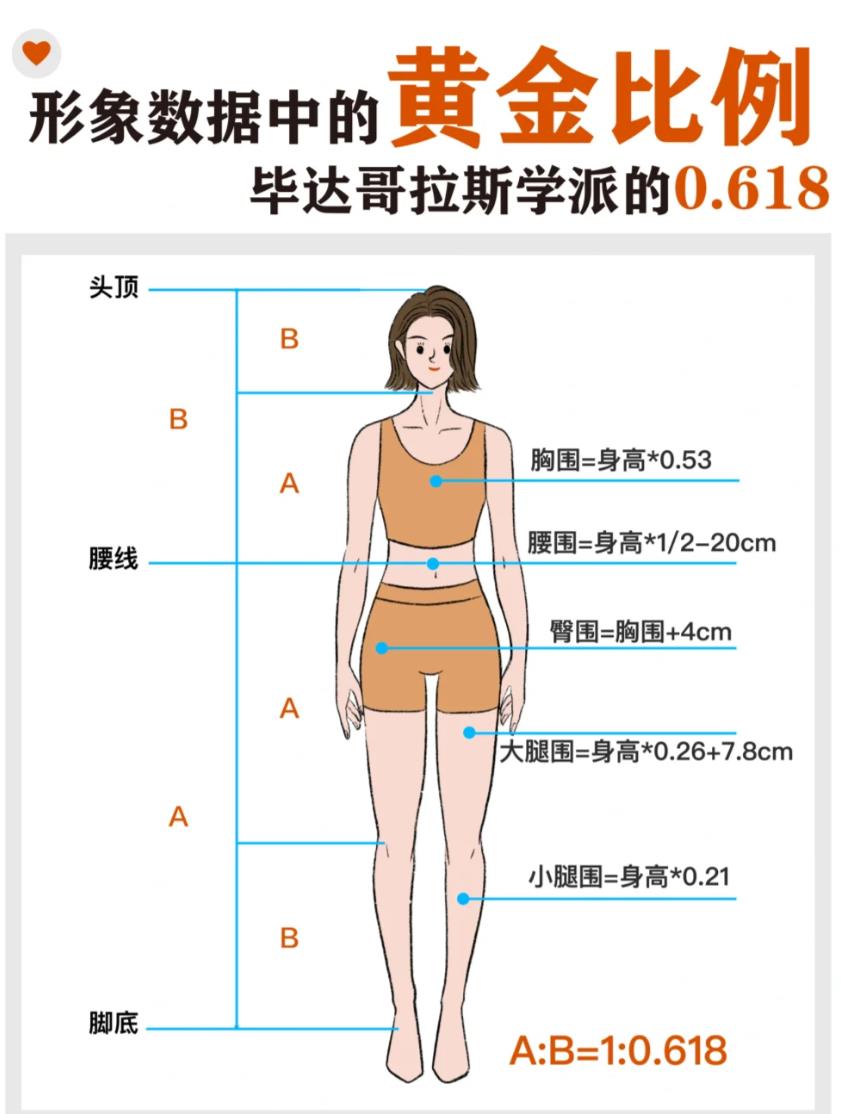 女性最佳上下身比例