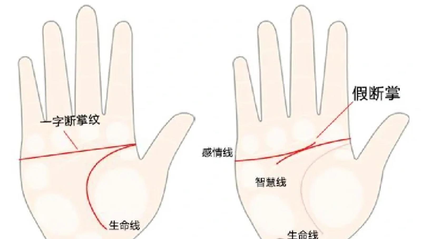 女人断掌纹是什么命，女孩右手断掌纹代表什么意思