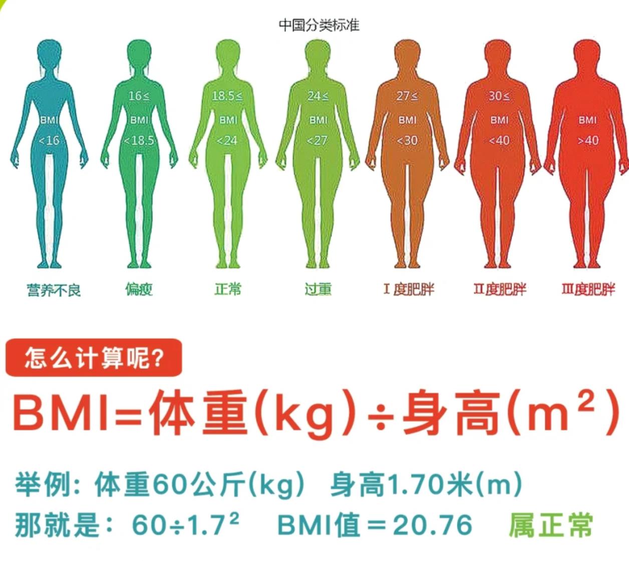 女性bmi图，女性bmi图片高清头像