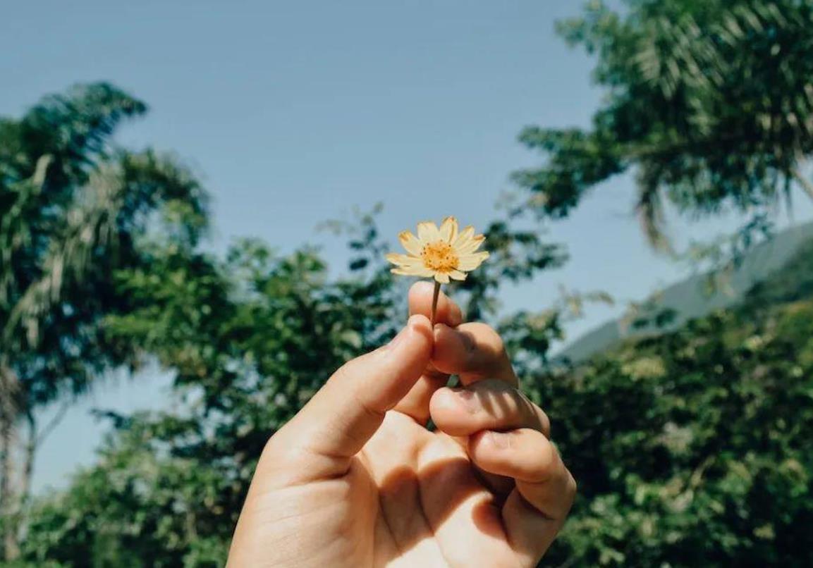 女性最舒服的9种生活方式高级感